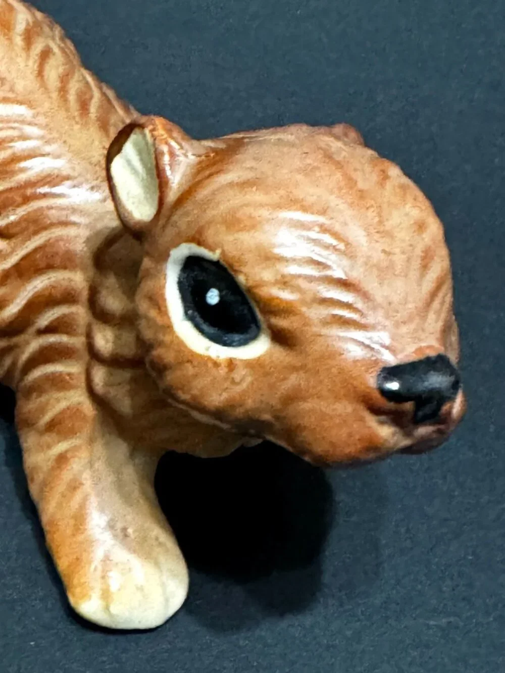 N/A norcrest squirrel